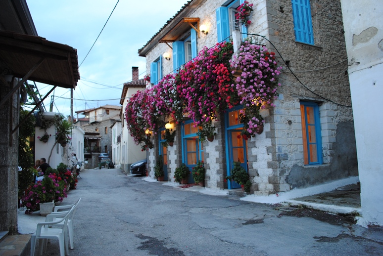 ΠΛΑΤΑΝΟΣ 1