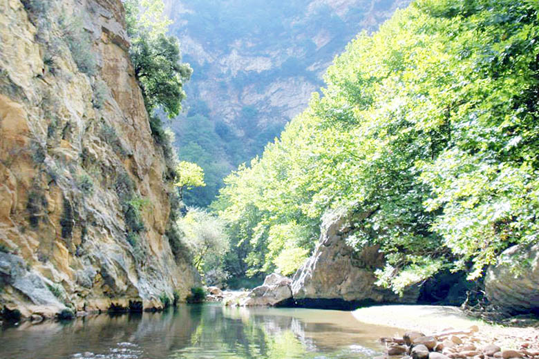 ΦΑΡΑΓΓΙ ΣΕΛΙΝΟΥΝΤΑΣ